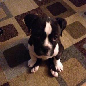 Meet your Posher, Jackie